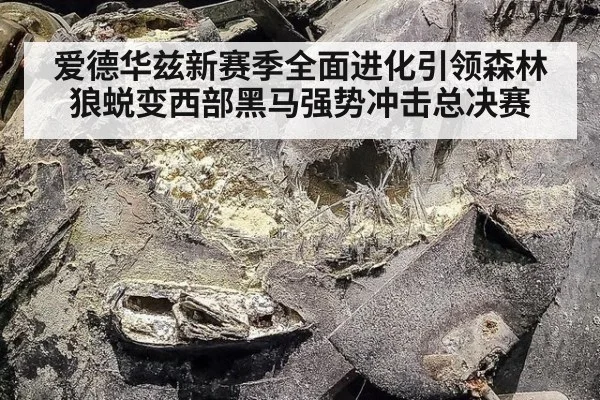 爱德华兹新赛季全面进化引领森林狼蜕变西部黑马强势冲击总决赛